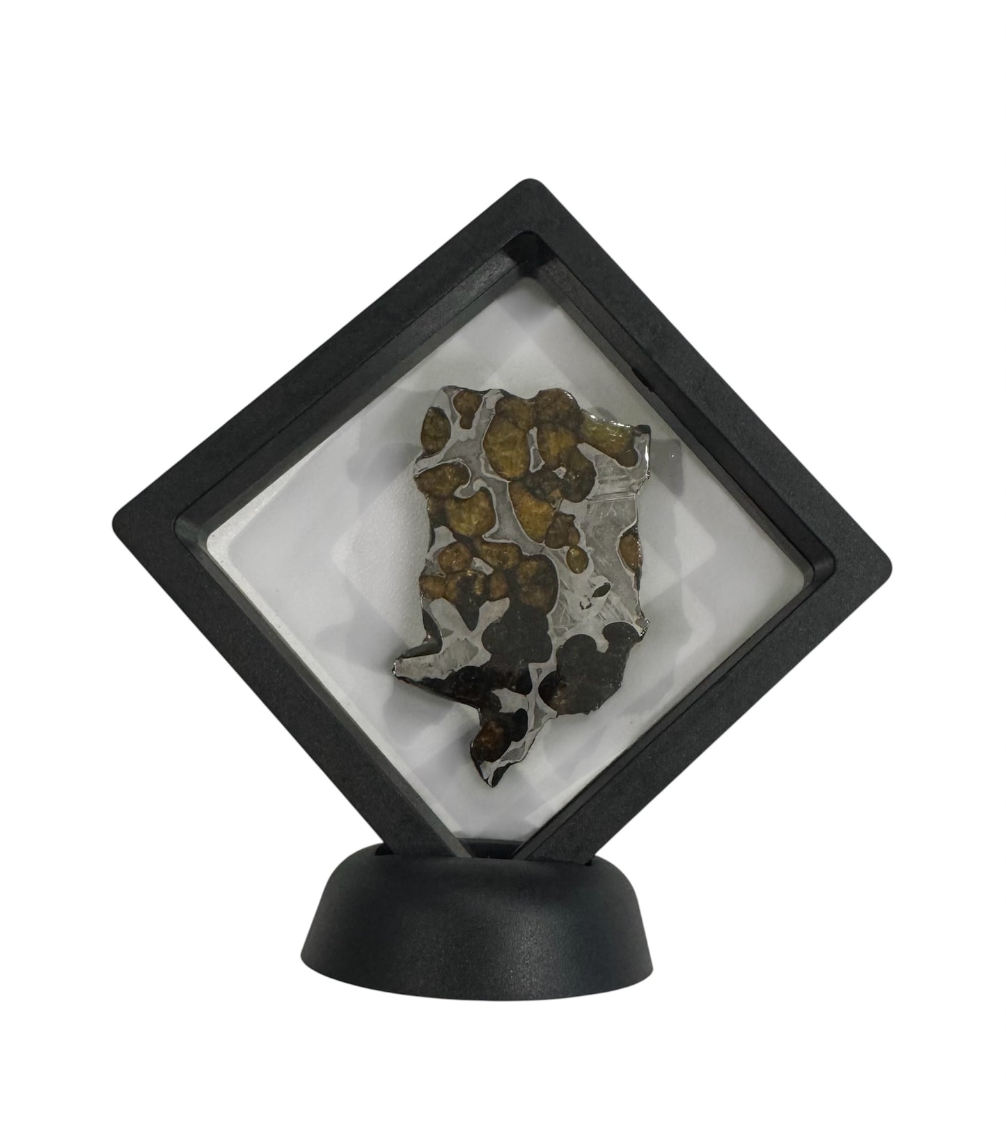 Brenham Pallasite Slice 25 grams in stand