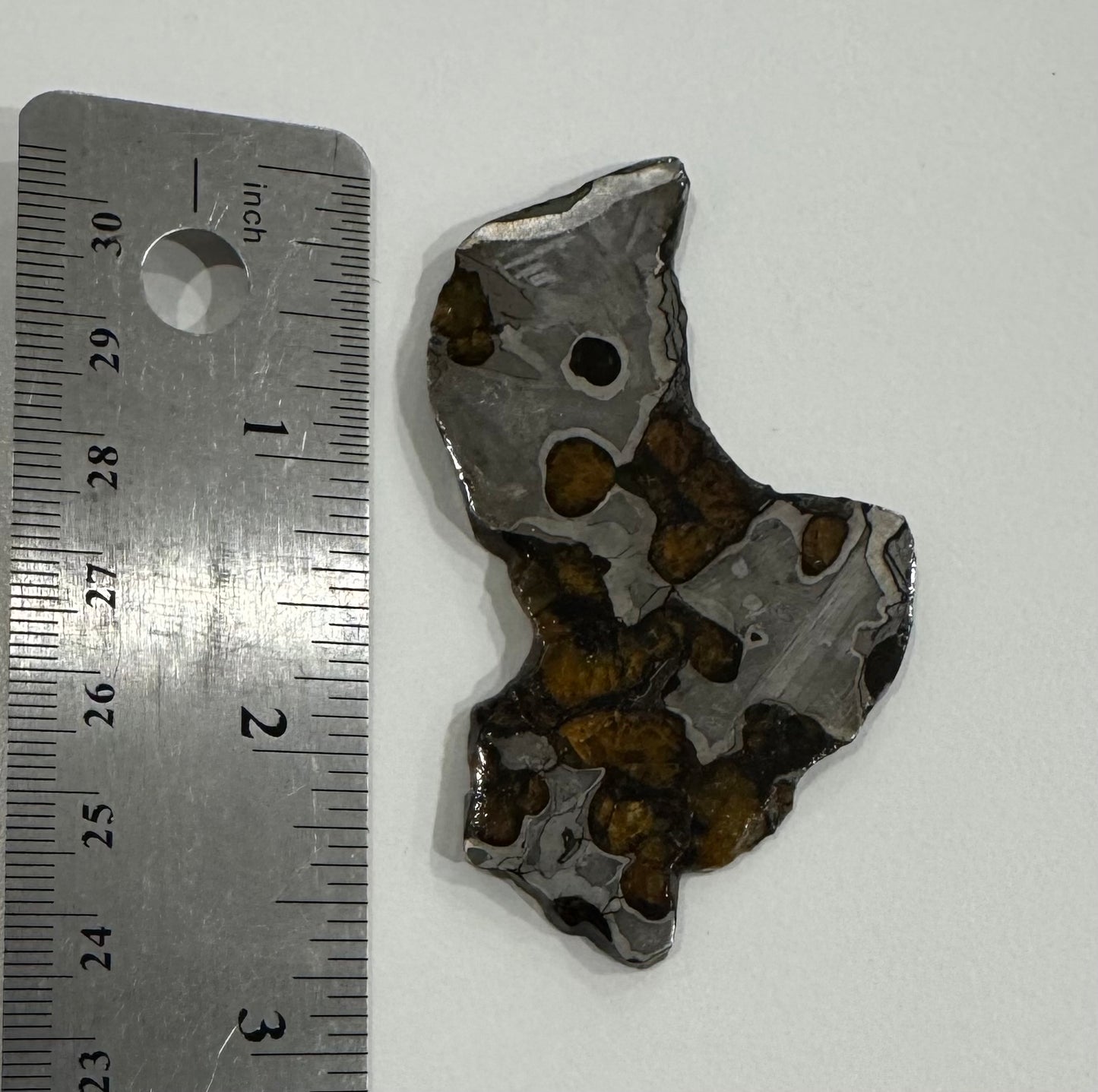 Brenham Pallasite Slice 28 grams in stand
