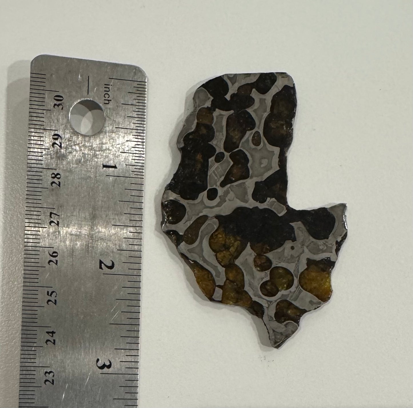 Brenham Pallasite Slice 27 grams in stand