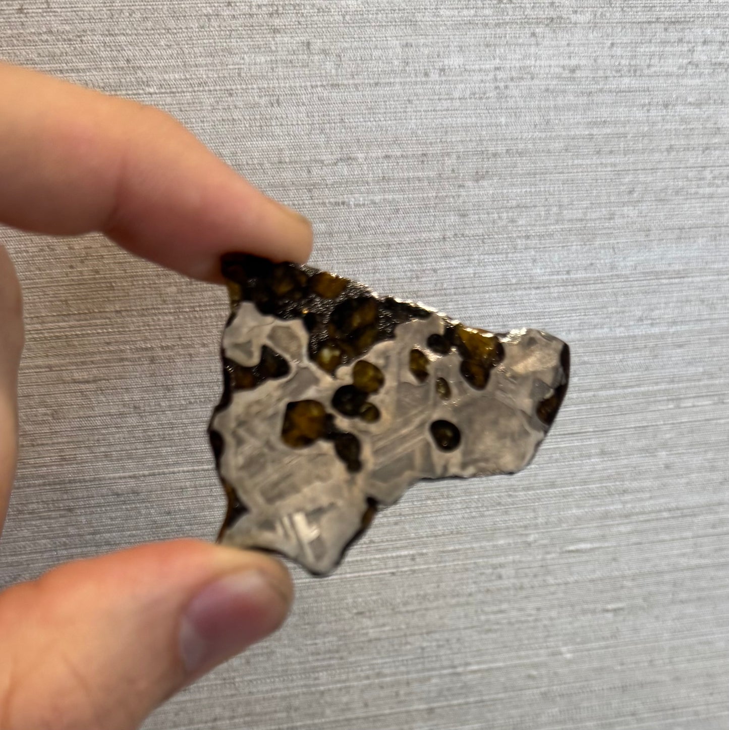 Brenham Pallasite Slice 15 grams in stand