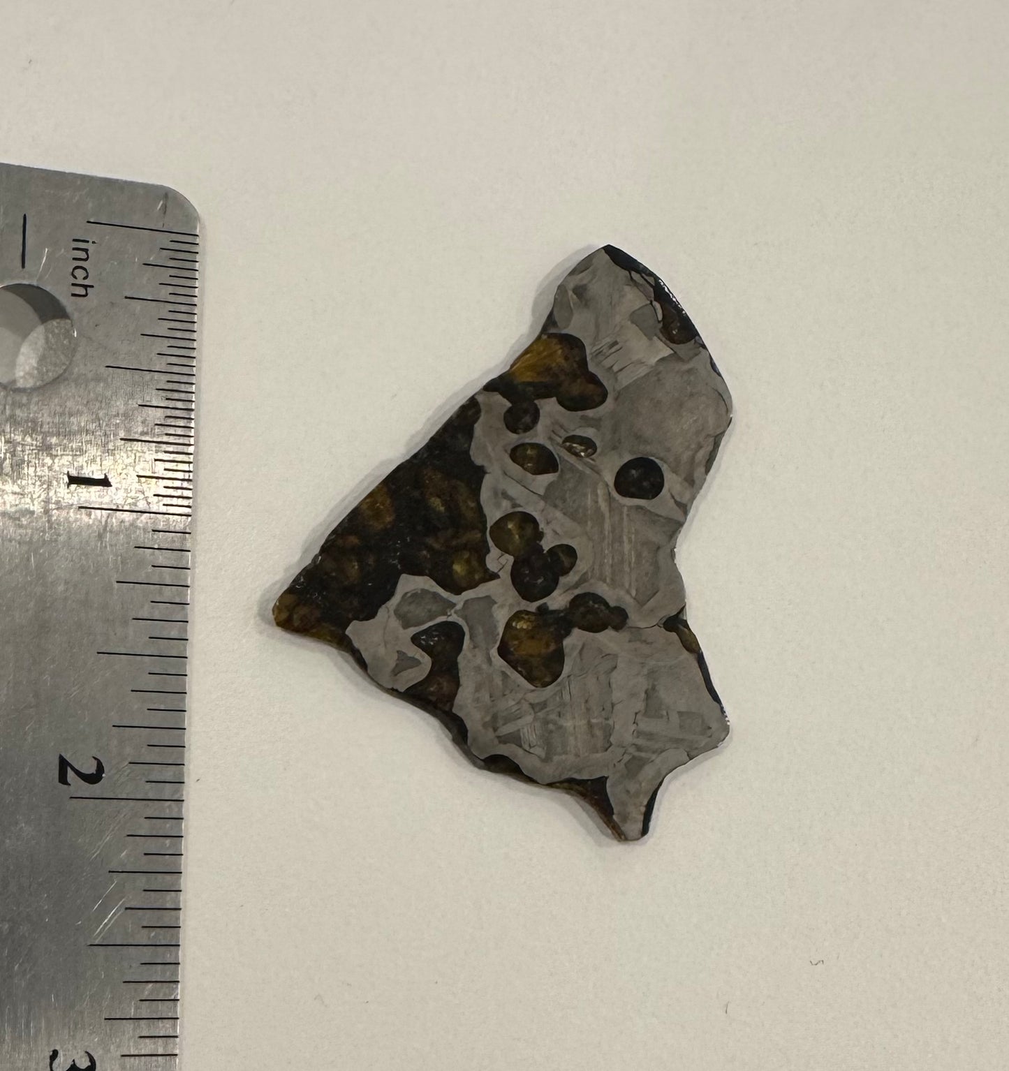 Brenham Pallasite Slice 15 grams in stand