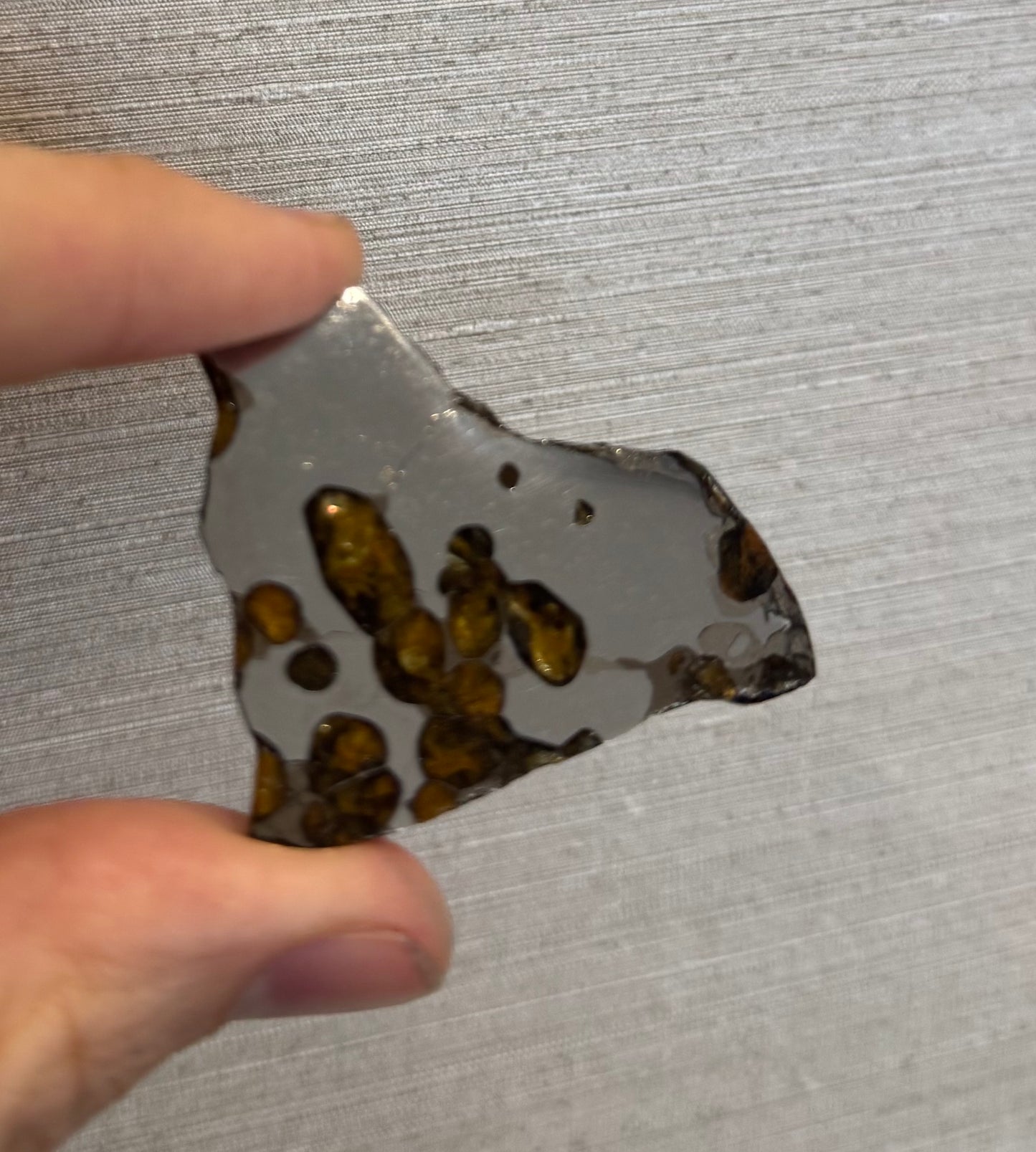 Brenham Pallasite Slice 15 grams in stand