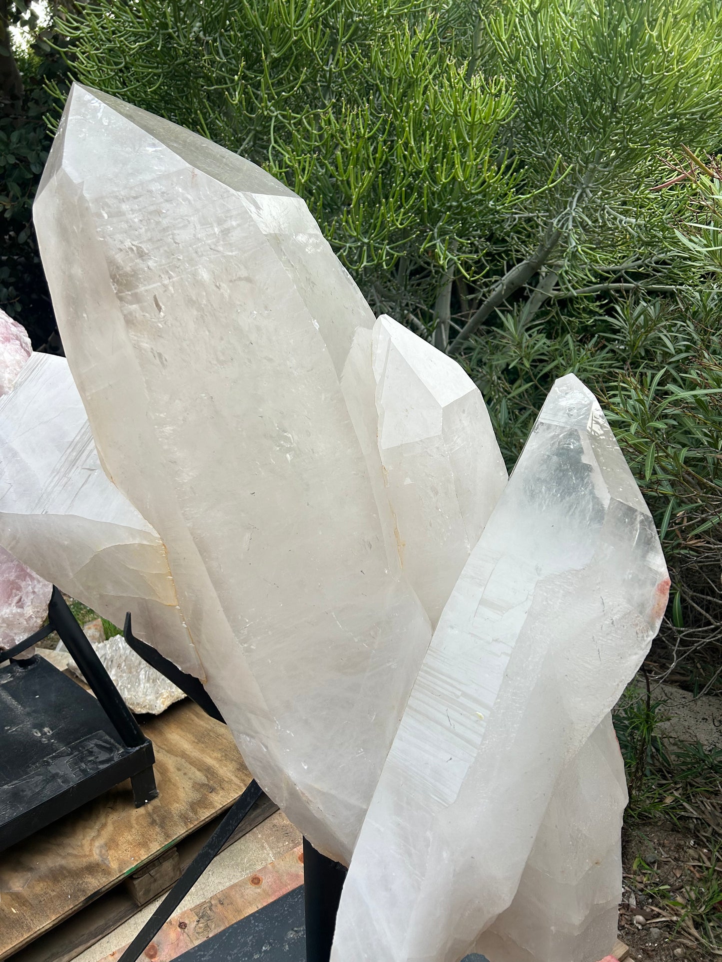 Massive Quartz Point Group on Stand