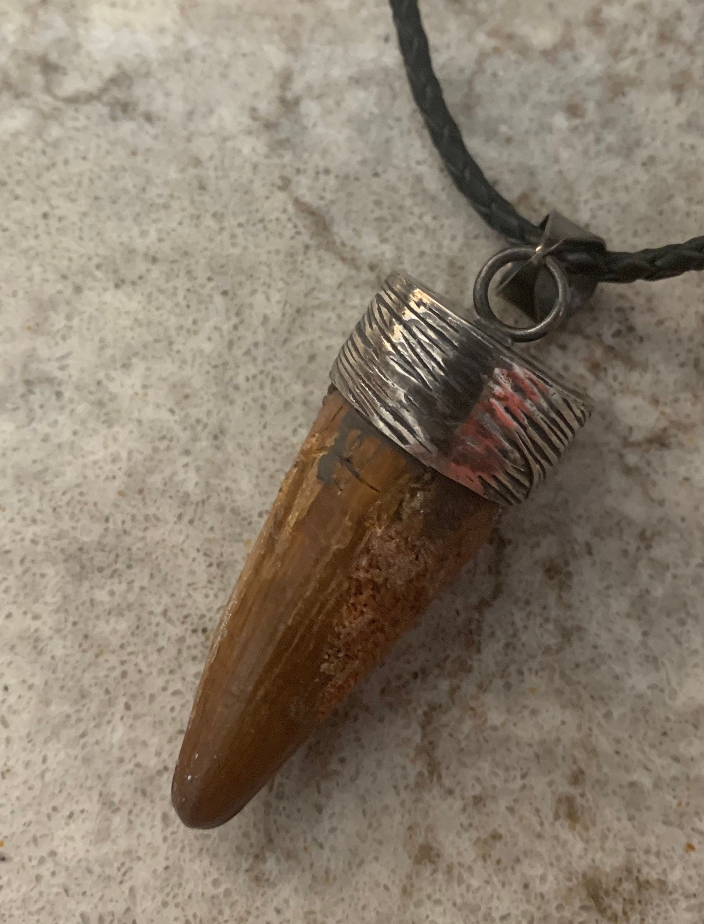 Spinosaurus Tooth Pendant | 2" | Sterling Silver | 100% Authentic