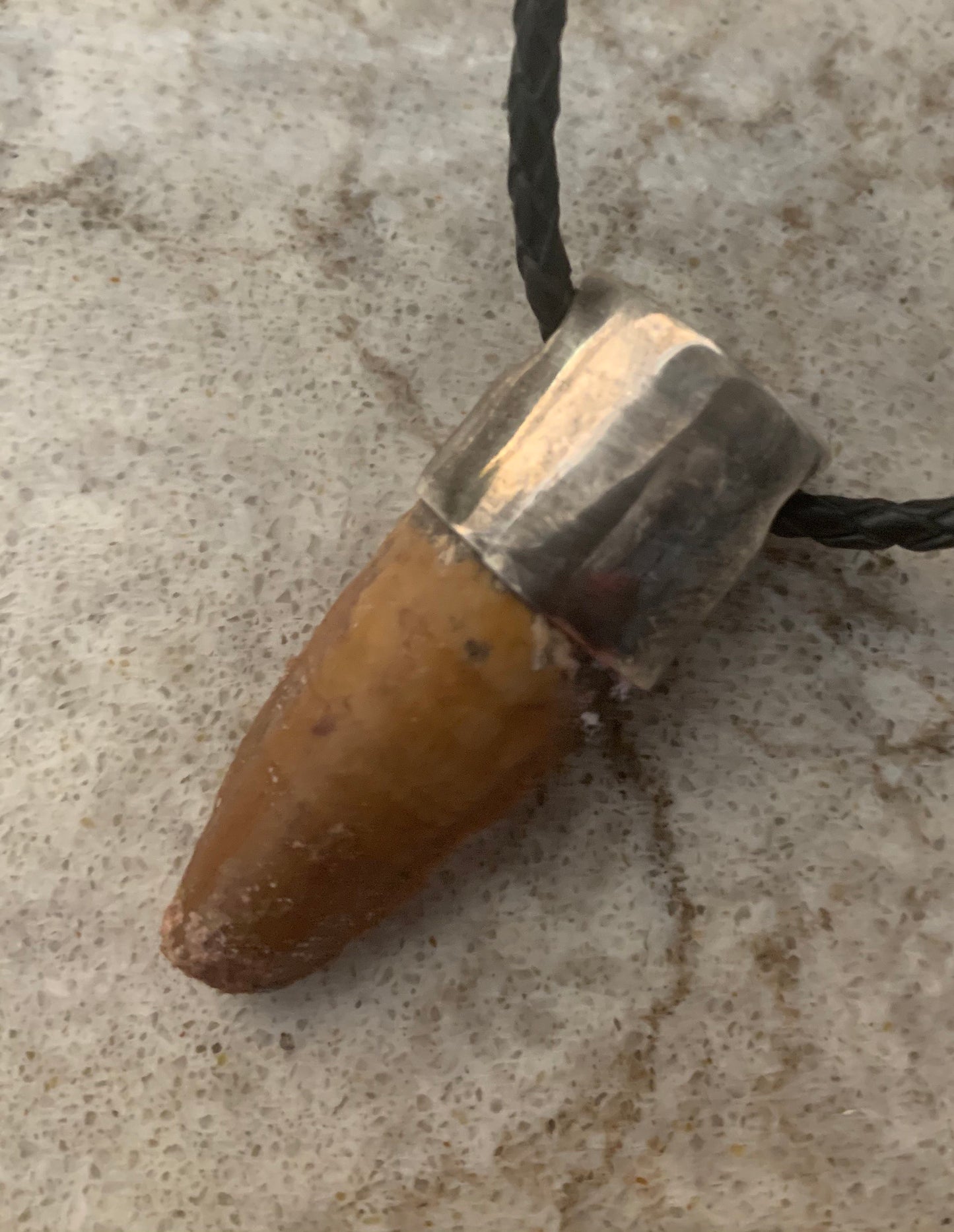 Carcharodontosaurus Tooth Pendant | Sterling Silver | 100% Authentic