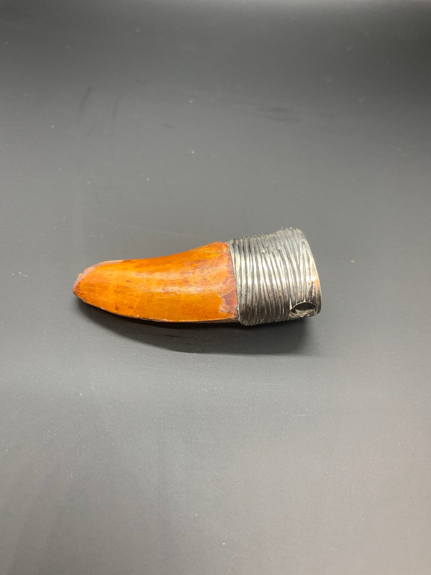 Carcharodontosaurus Tooth Pendant | Sterling Silver | 100% Authentic