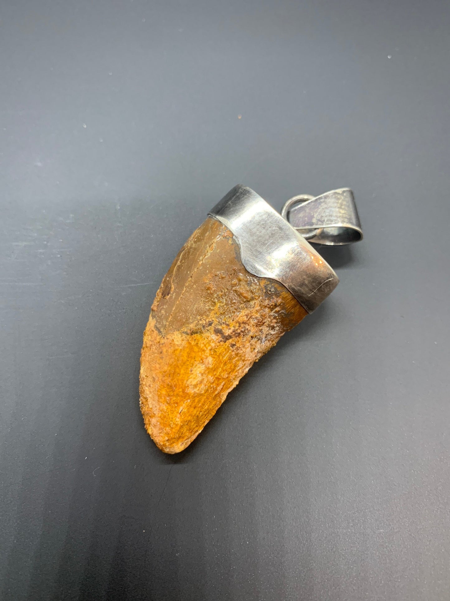 Carcharodontosaurus Tooth Pendant | 1.5" | Sterling Silver | 100% Authentic