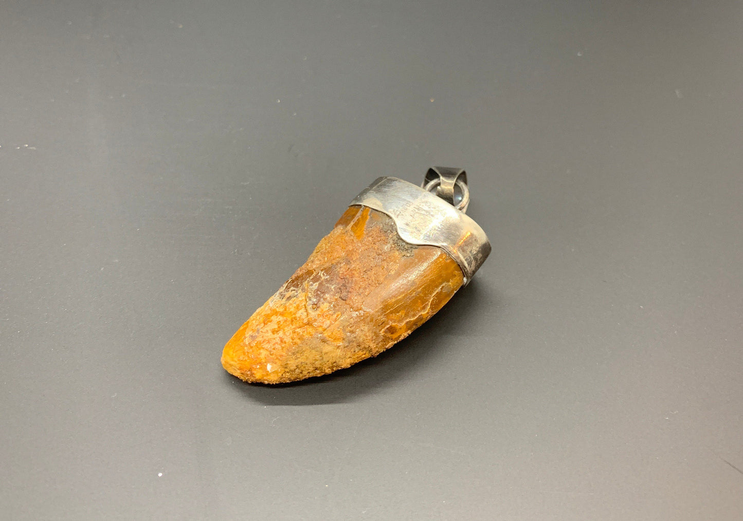 Carcharodontosaurus Tooth Pendant | 1.5" | Sterling Silver | 100% Authentic