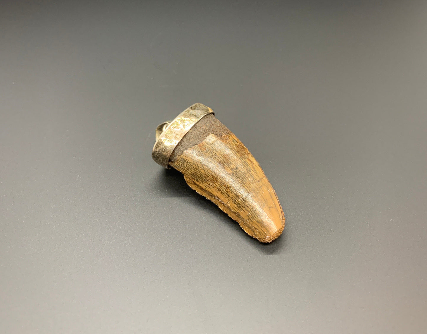 Carcharodontosaurus Tooth Pendant | 1 5/8" | Sterling Silver | 100% Authentic