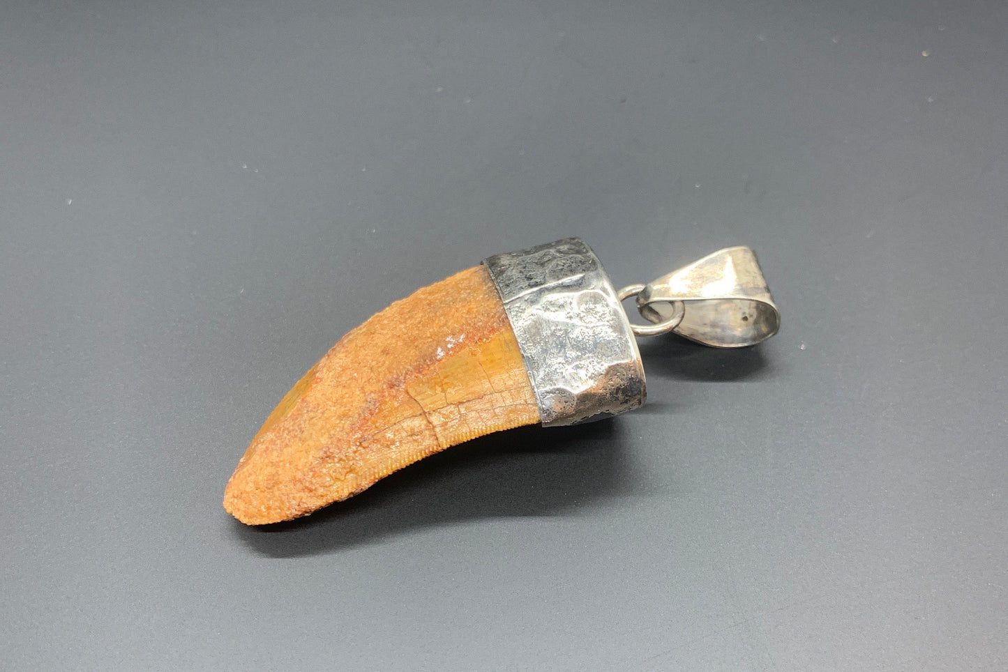 Carcharodontosaurus Tooth Pendant | 1.5" | Sterling Silver | 100% Authentic