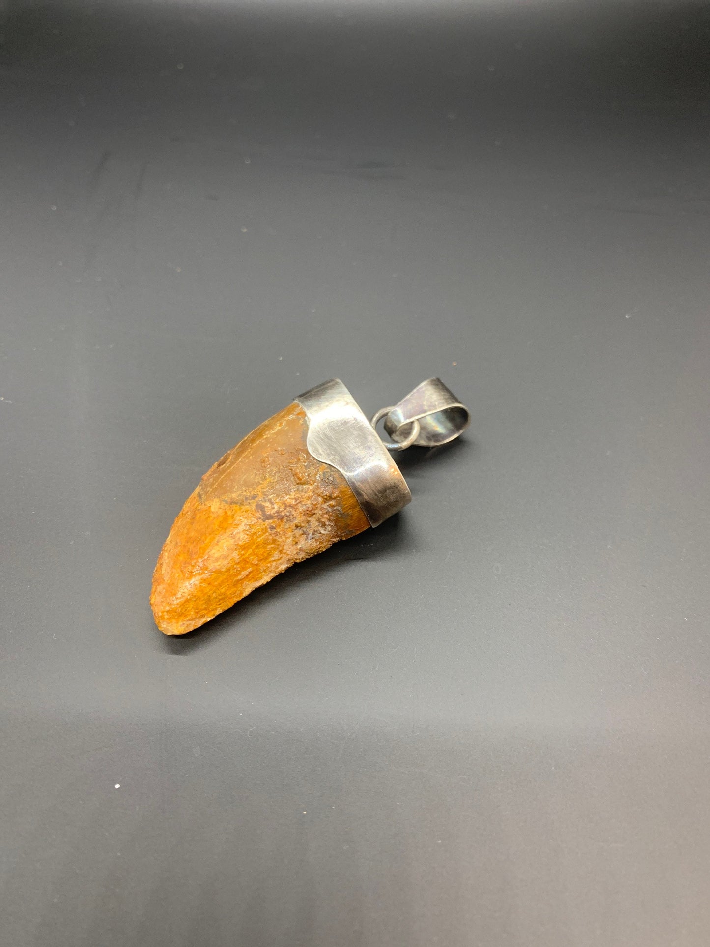 Carcharodontosaurus Tooth Pendant | 1.5" | Sterling Silver | 100% Authentic