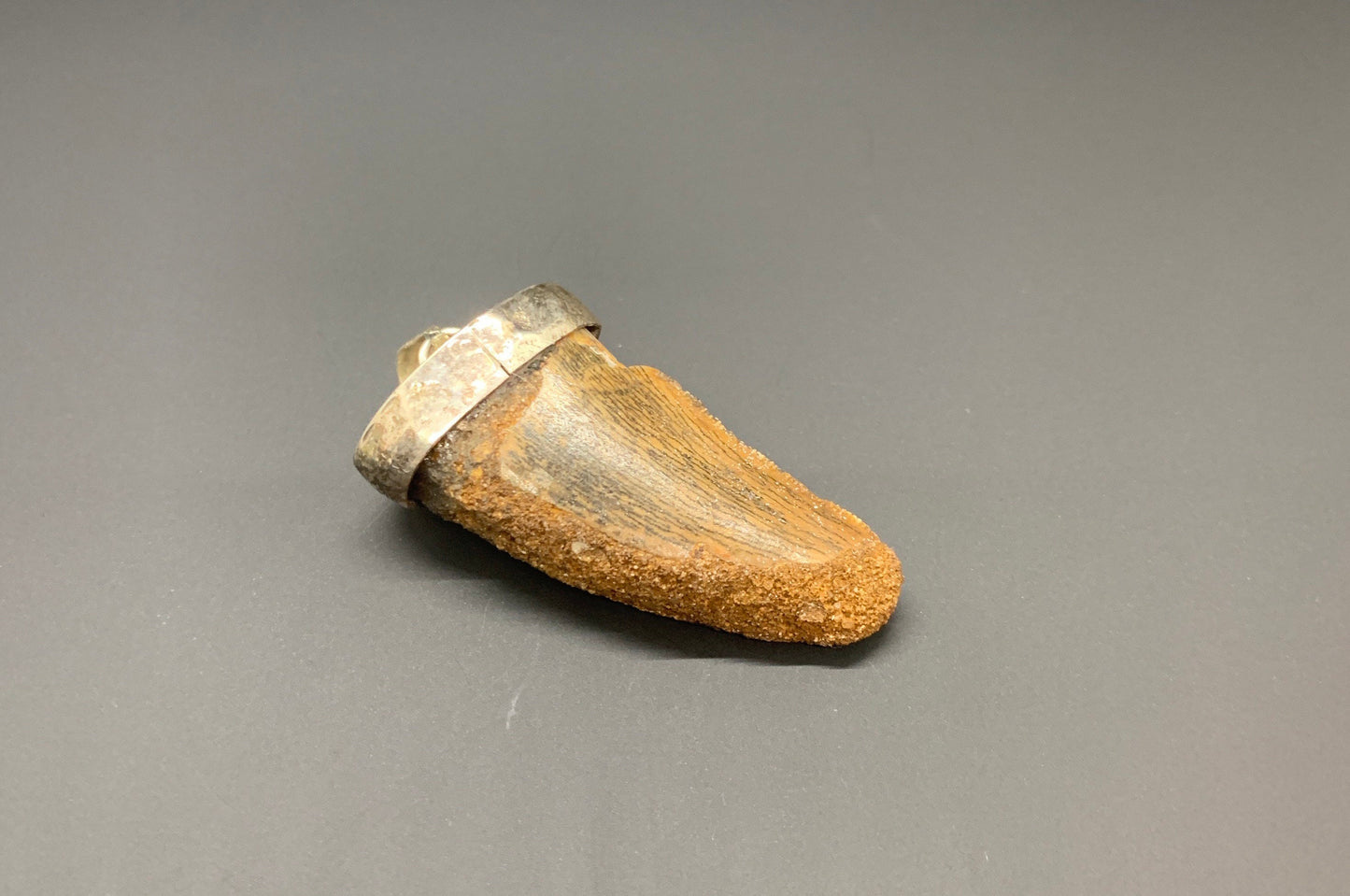 Carcharodontosaurus Tooth Pendant | 1 5/8" | Sterling Silver | 100% Authentic