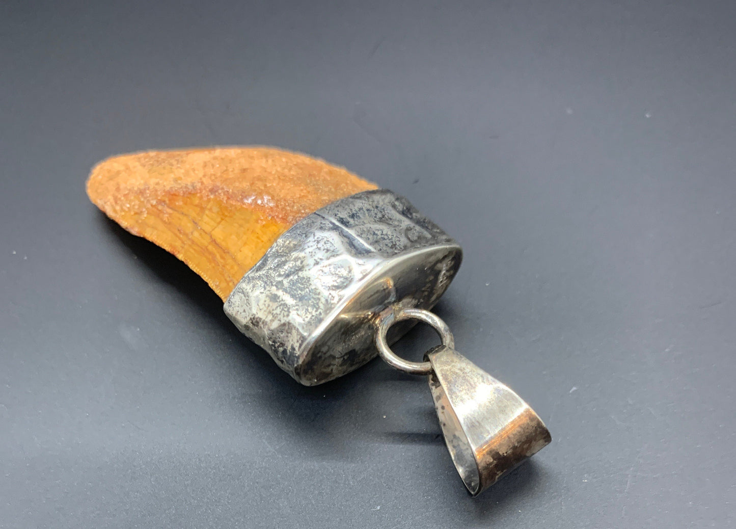 Carcharodontosaurus Tooth Pendant | 1.5" | Sterling Silver | 100% Authentic