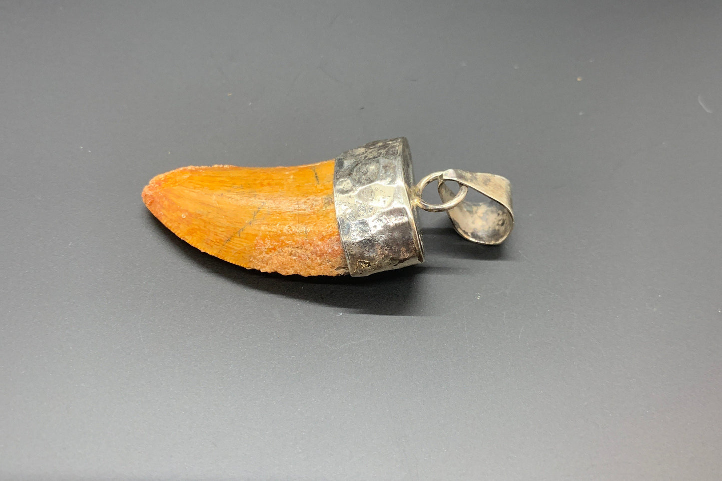 Carcharodontosaurus Tooth Pendant | 1.5" | Sterling Silver | 100% Authentic