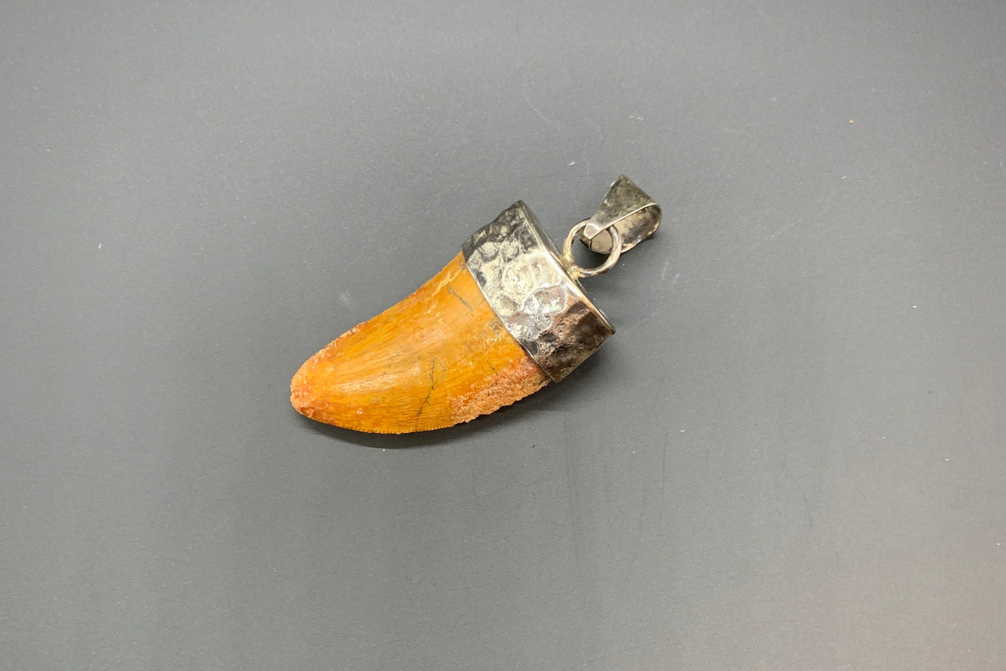 Carcharodontosaurus Tooth Pendant | 1.5" | Sterling Silver | 100% Authentic