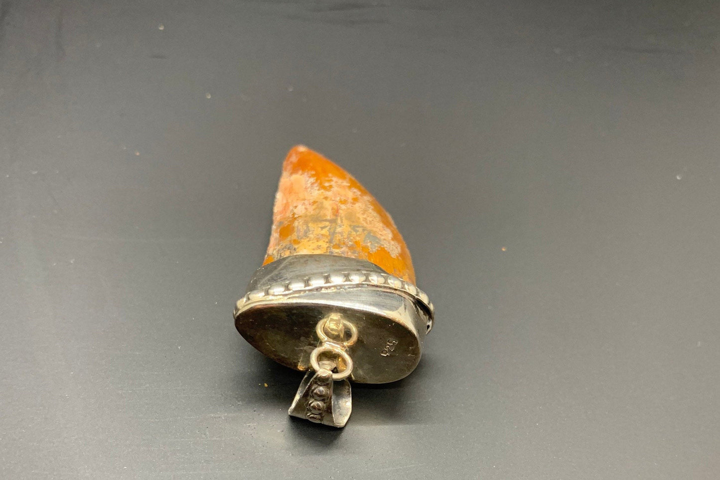 Carcharodontosaurus Tooth Pendant | 1.5" | Sterling Silver | 100% Authentic