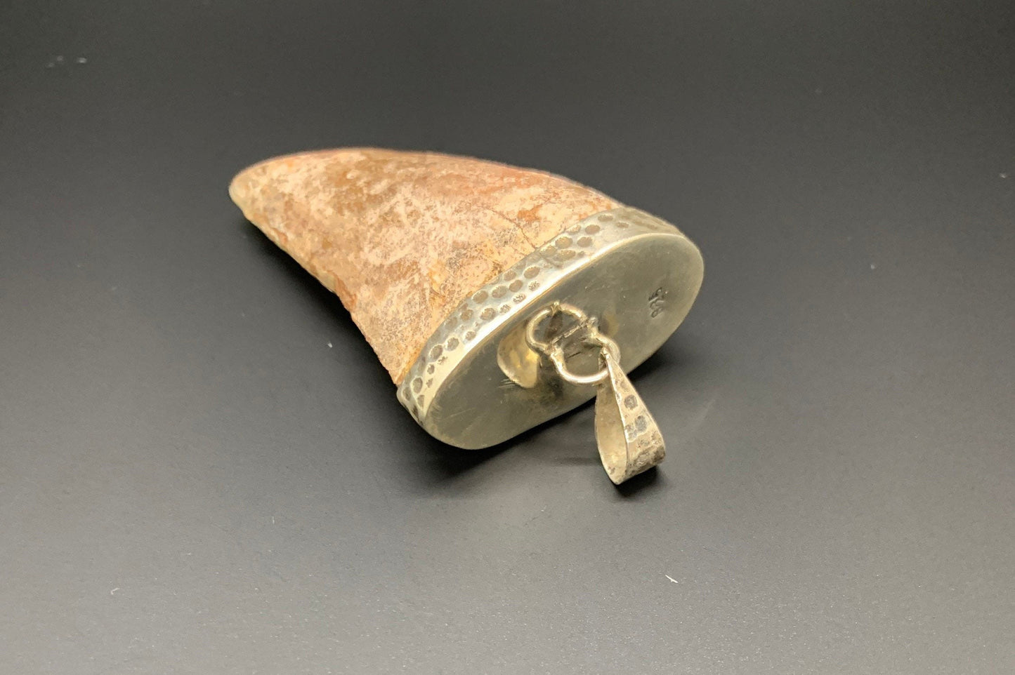 Carcharodontosaurus Tooth Pendant | 2" | Sterling Silver | 100% Authentic
