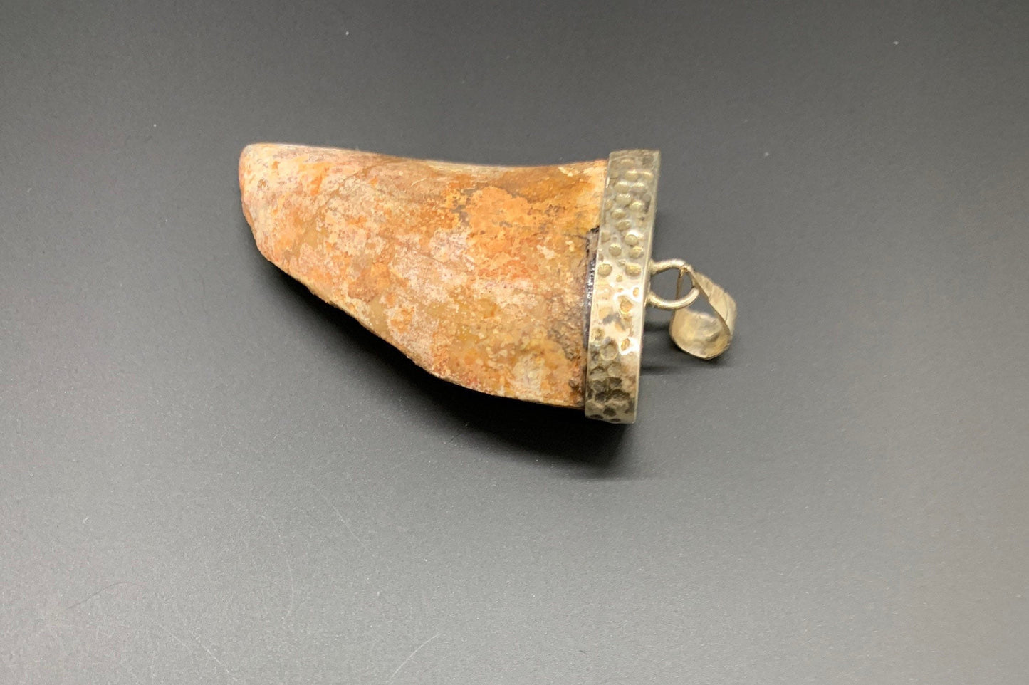 Carcharodontosaurus Tooth Pendant | 2" | Sterling Silver | 100% Authentic