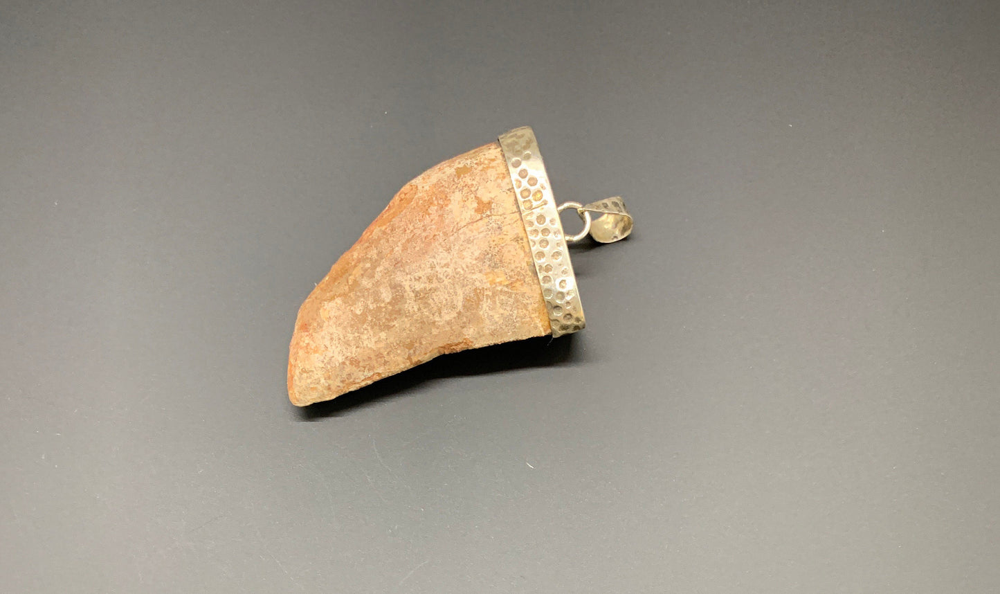 Carcharodontosaurus Tooth Pendant | 2" | Sterling Silver | 100% Authentic