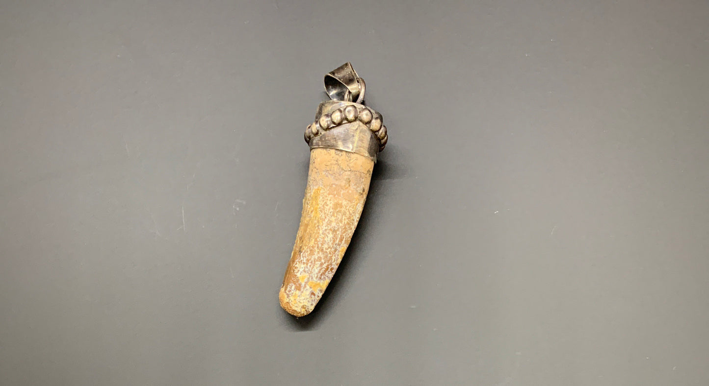 Spinosaurus Tooth Pendant | 2" | Sterling Silver | 100% Authentic