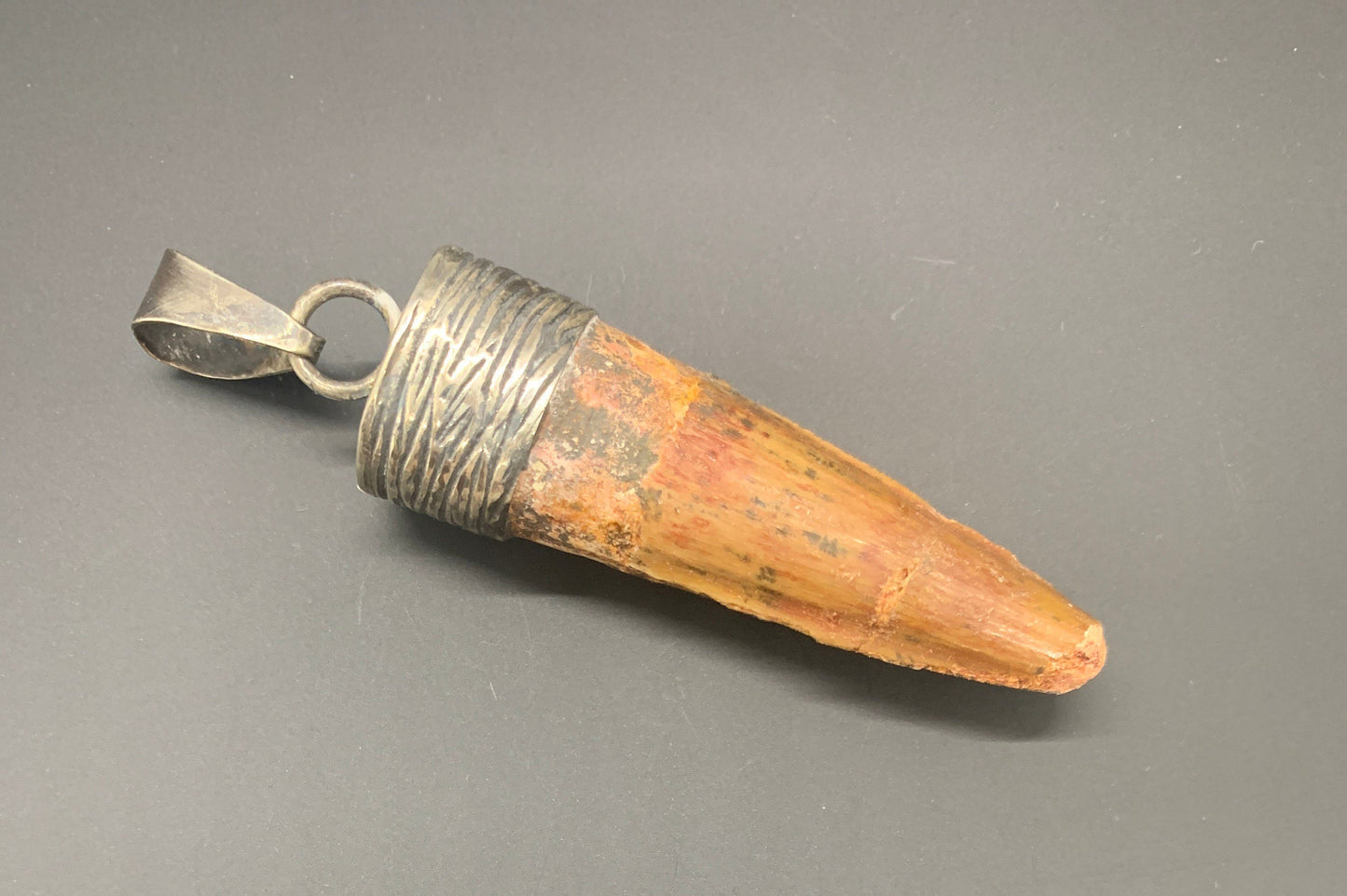Spinosaurus Tooth Pendant | 2" | Sterling Silver | 100% Authentic