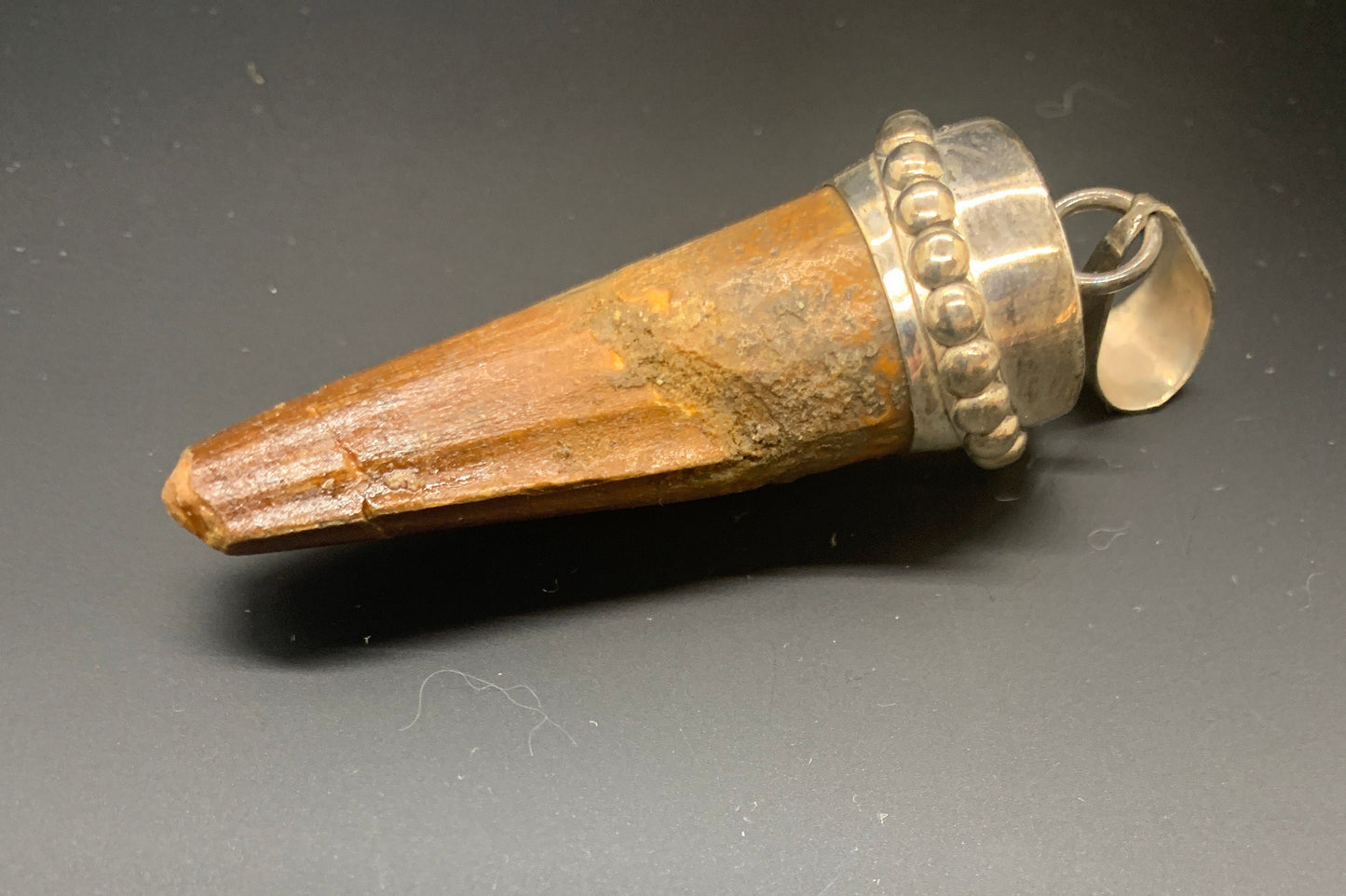 Spinosaurus Tooth Pendant | 2 1/4” | Sterling Silver | 100% Authentic