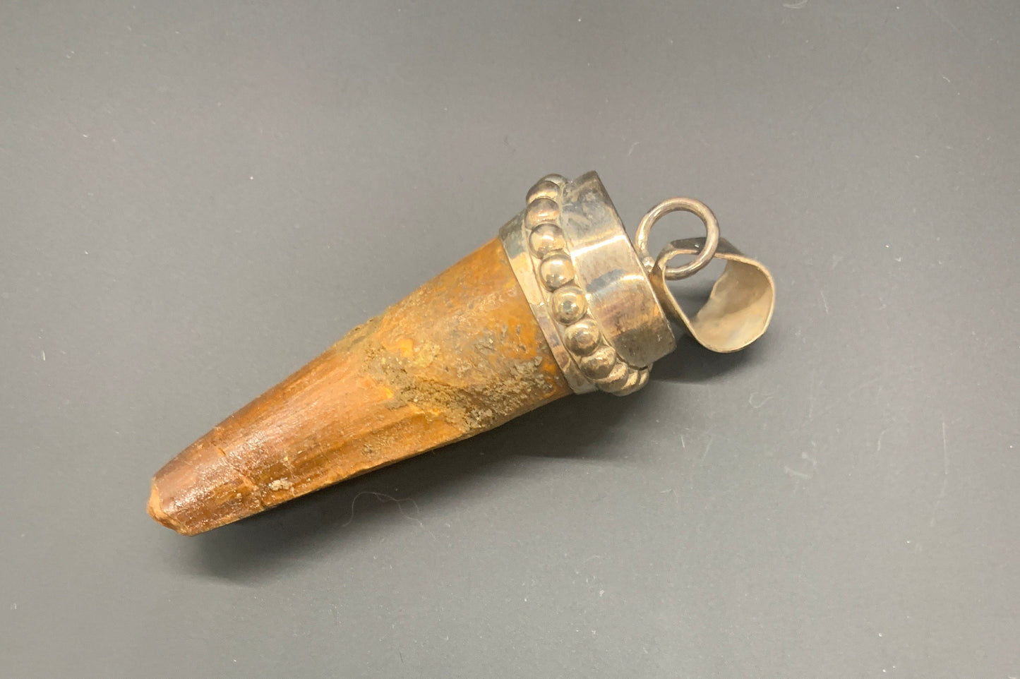 Spinosaurus Tooth Pendant | 2 1/4” | Sterling Silver | 100% Authentic