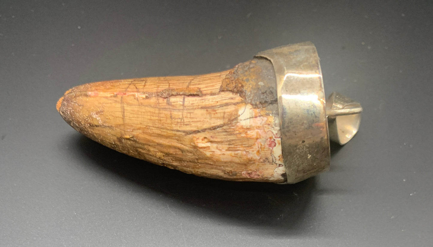 Spinosaurus Tooth Pendant | 2" | Sterling Silver | 100% Authentic