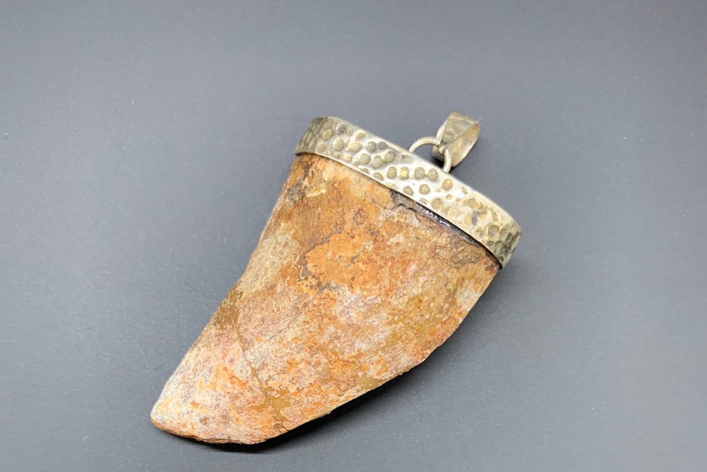 Carcharodontosaurus Tooth Pendant | 2" | Sterling Silver | 100% Authentic