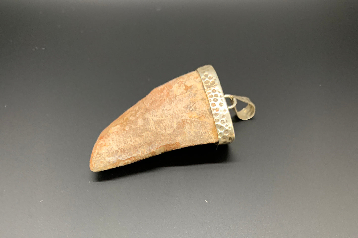 Carcharodontosaurus Tooth Pendant | 2" | Sterling Silver | 100% Authentic