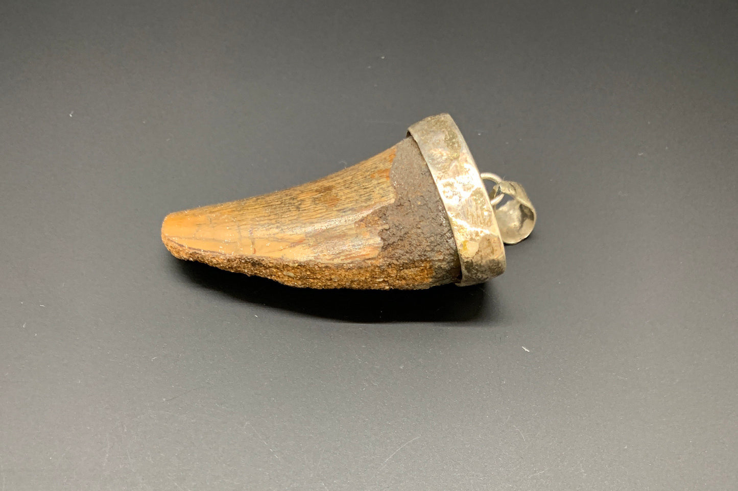 Carcharodontosaurus Tooth Pendant | 1 5/8" | Sterling Silver | 100% Authentic