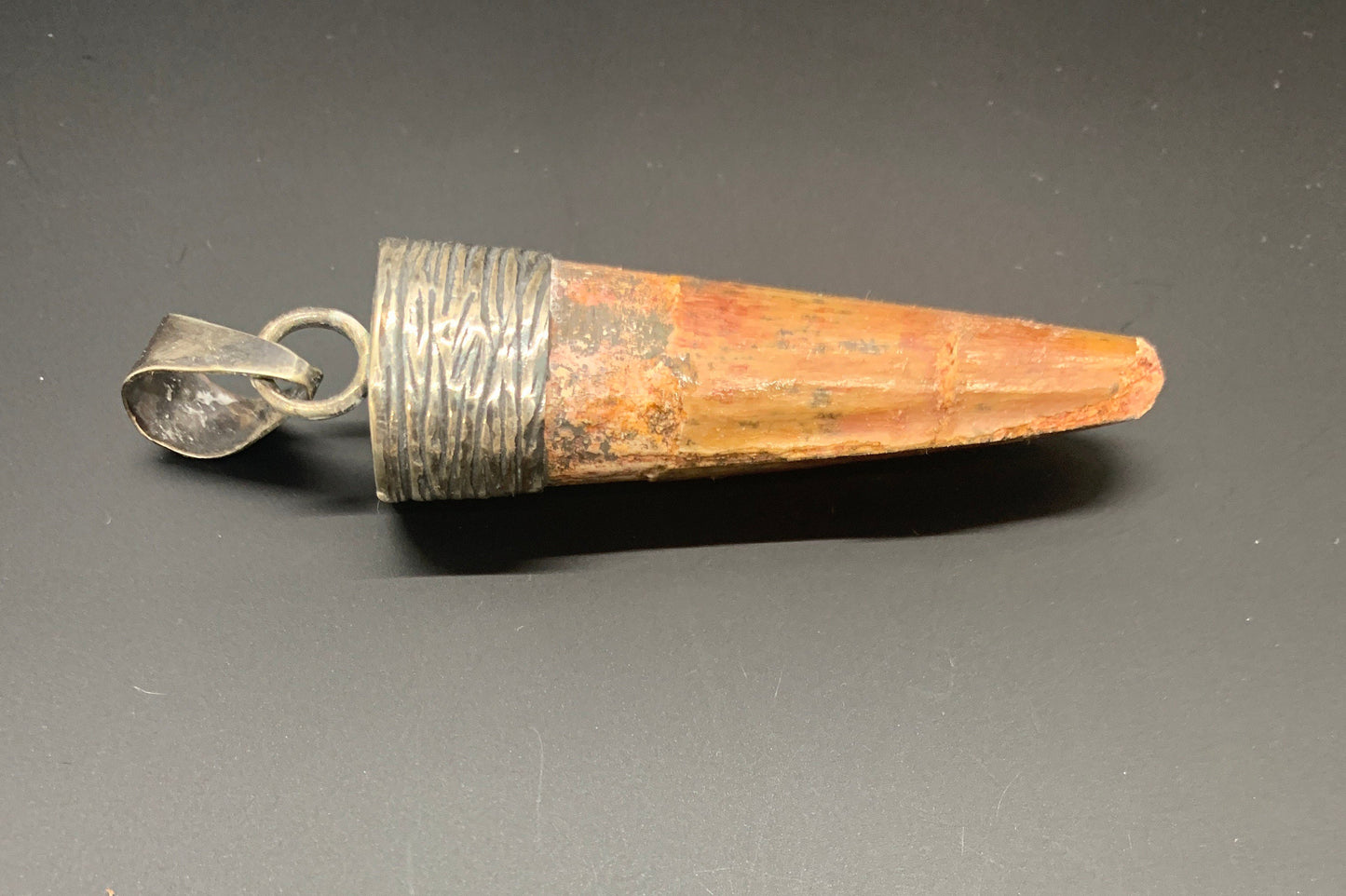 Spinosaurus Tooth Pendant | 2" | Sterling Silver | 100% Authentic