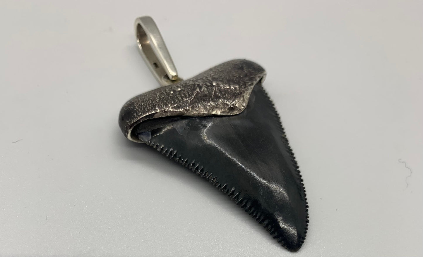 Oxidized silver medium Megalodon tooth pendent