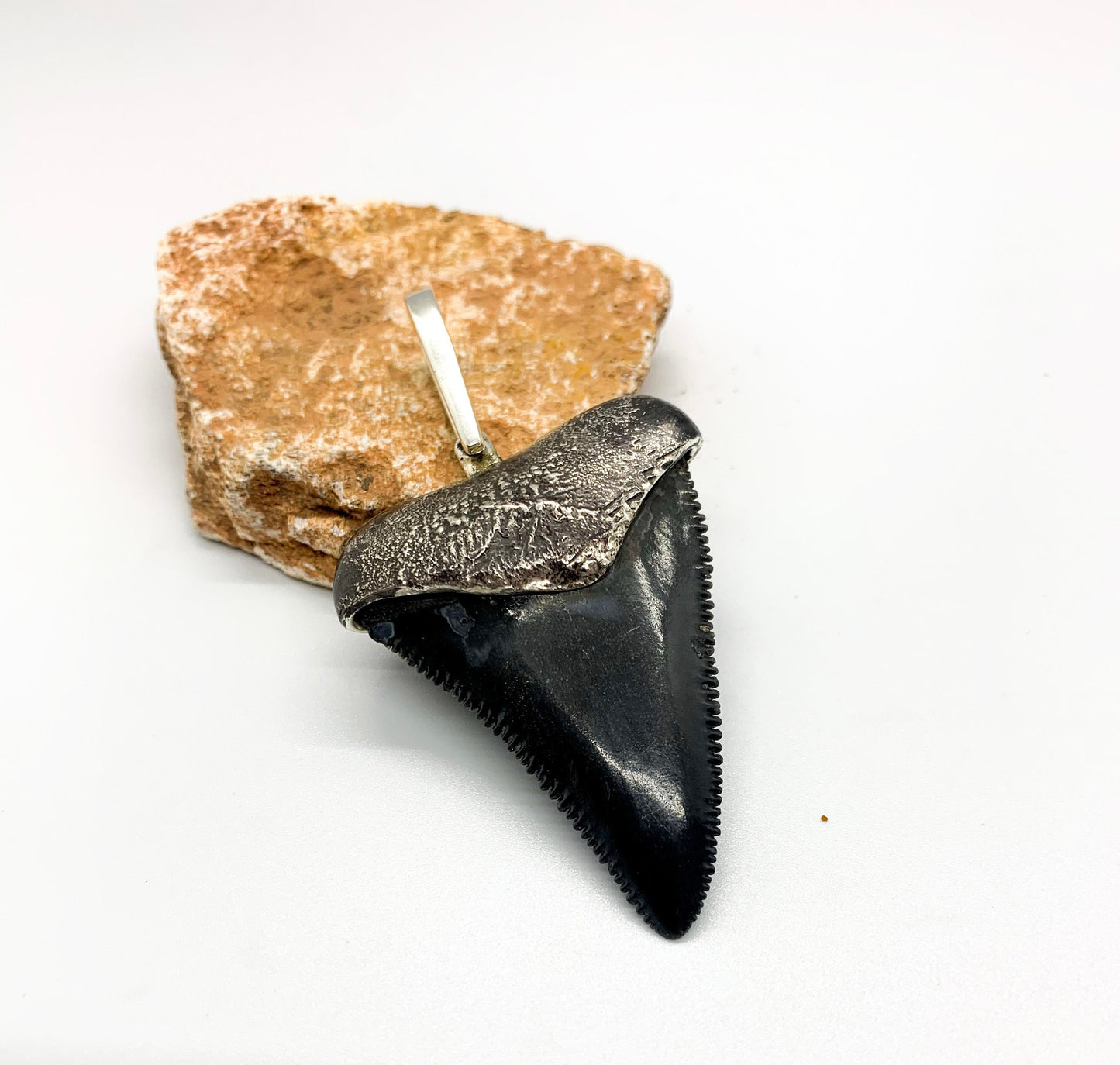Oxidized silver medium Megalodon tooth pendent