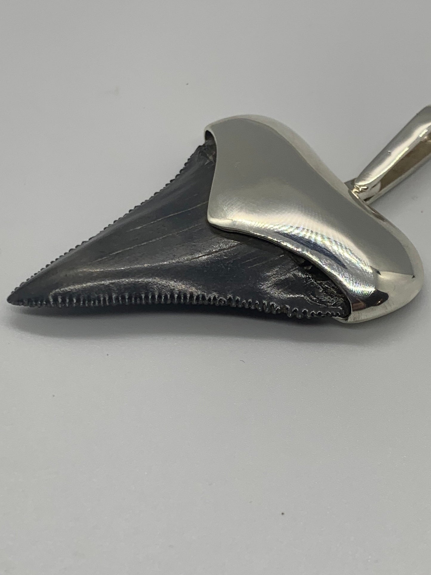 Sterling Cromo Silver Megalodon tooth pendent