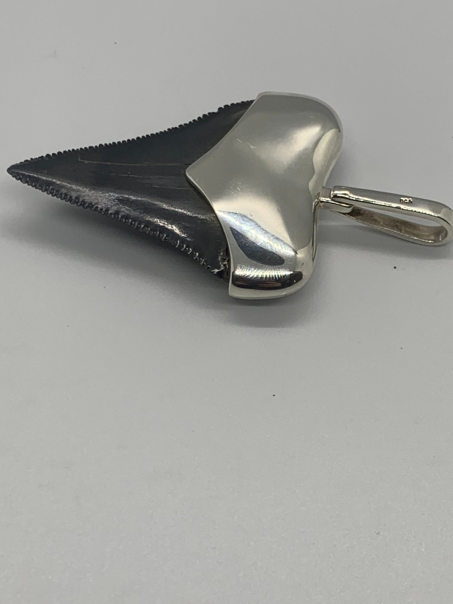 Sterling Cromo Silver Megalodon tooth pendent