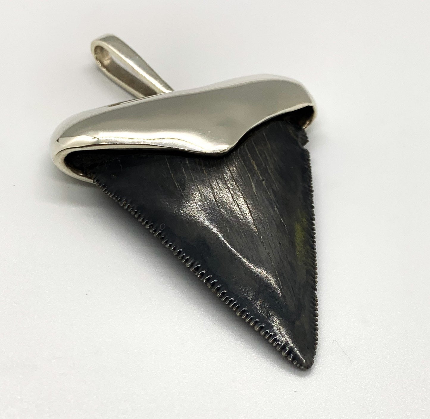 Megalodon tooth steeling silver pendent