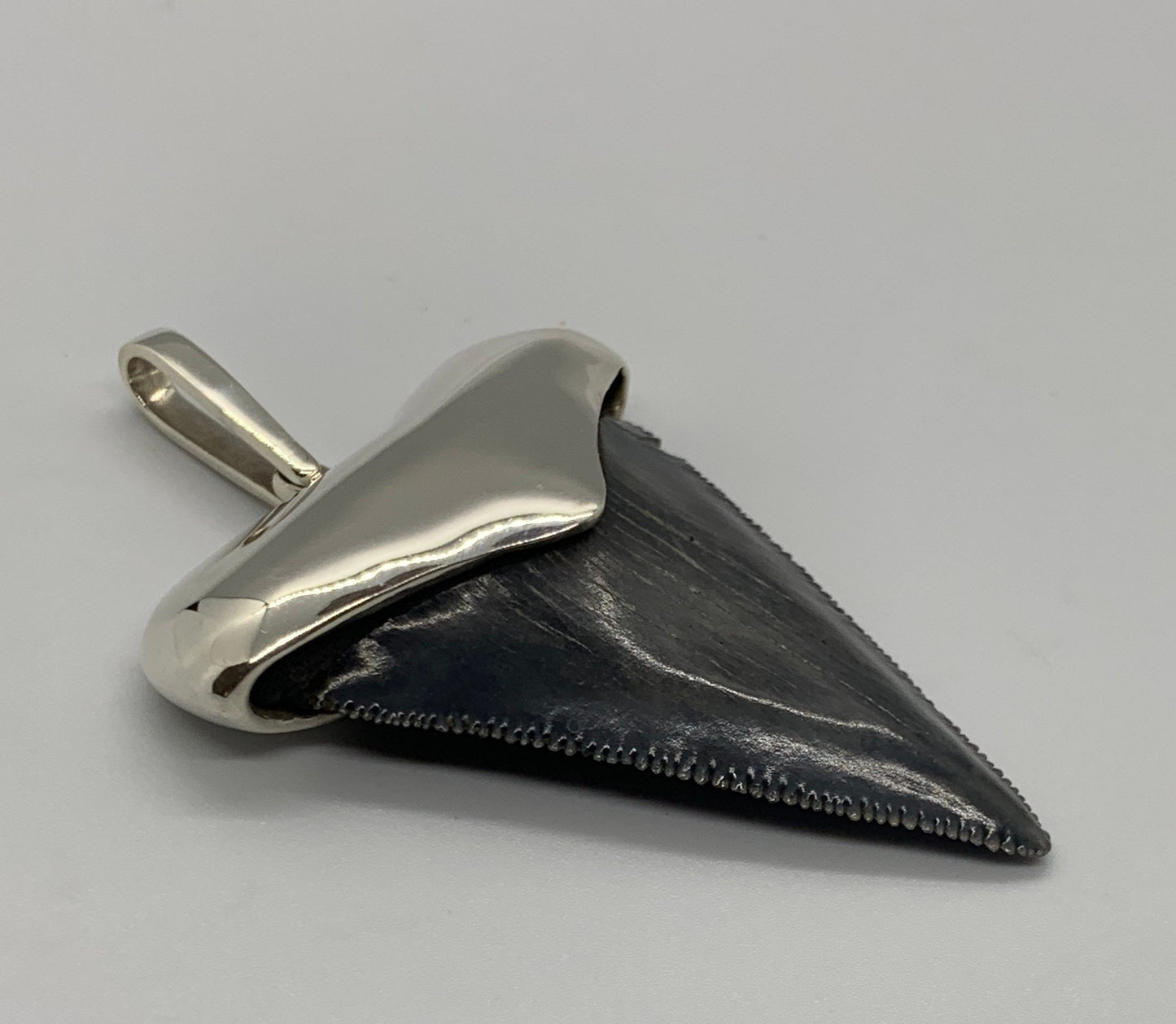 Megalodon tooth steeling silver pendent