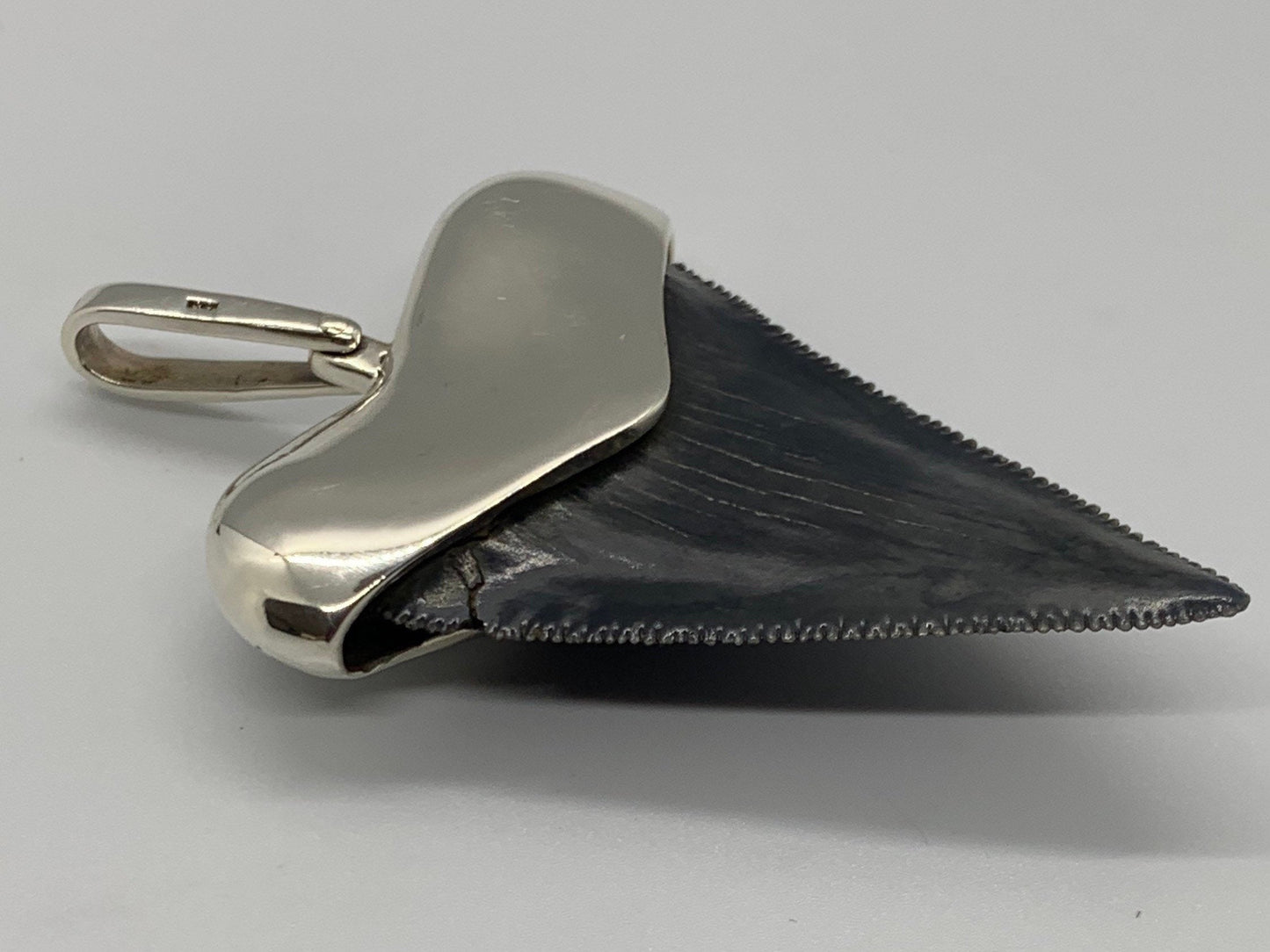 Megalodon tooth steeling silver pendent