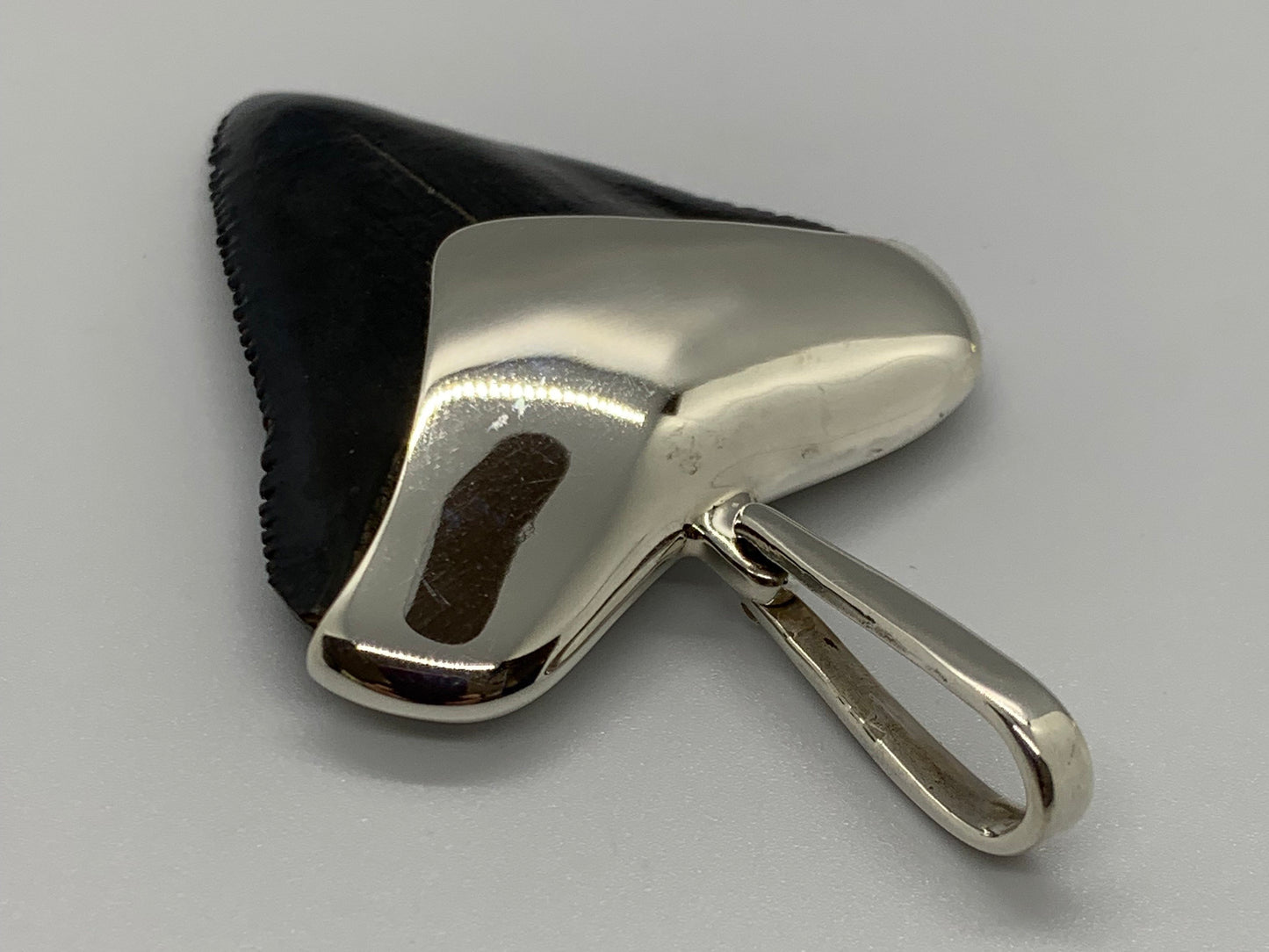 Megalodon tooth sterling silver pendant