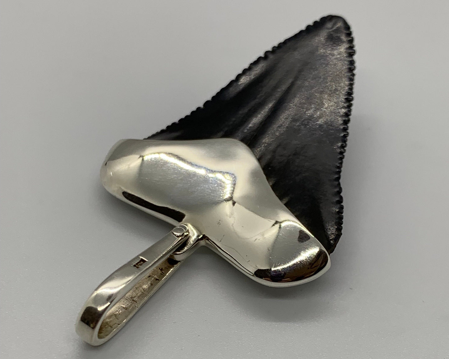 Megalodon tooth sterling silver pendant