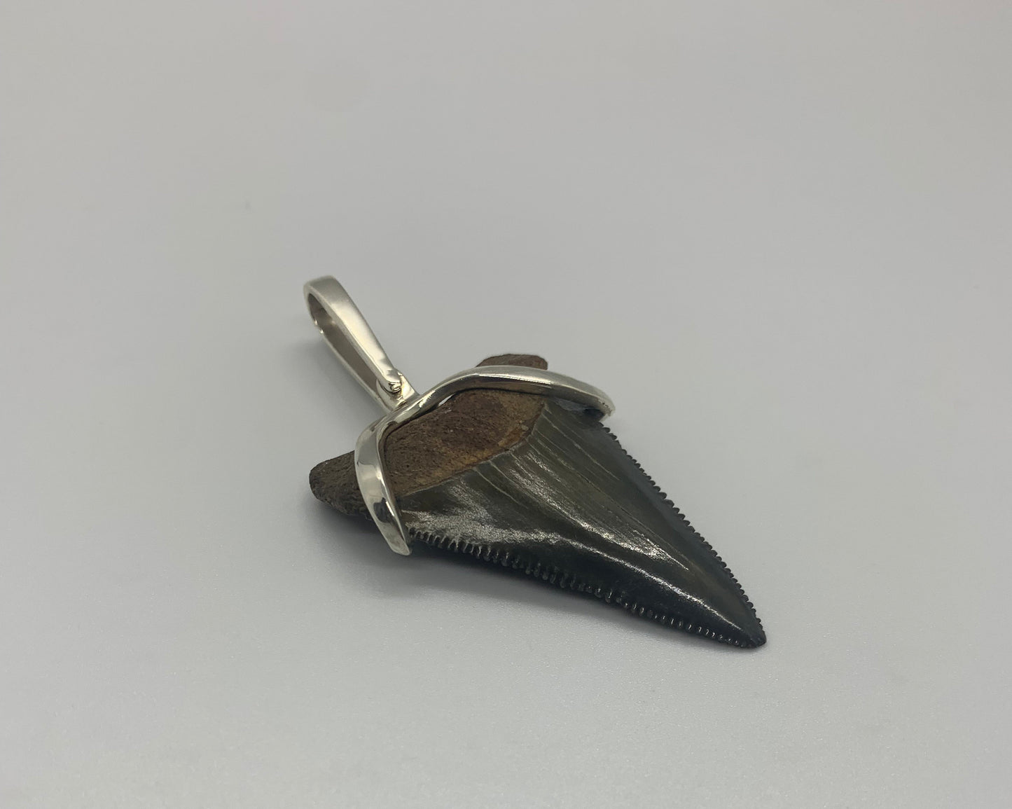 Megalodon tooth sterling silver Small