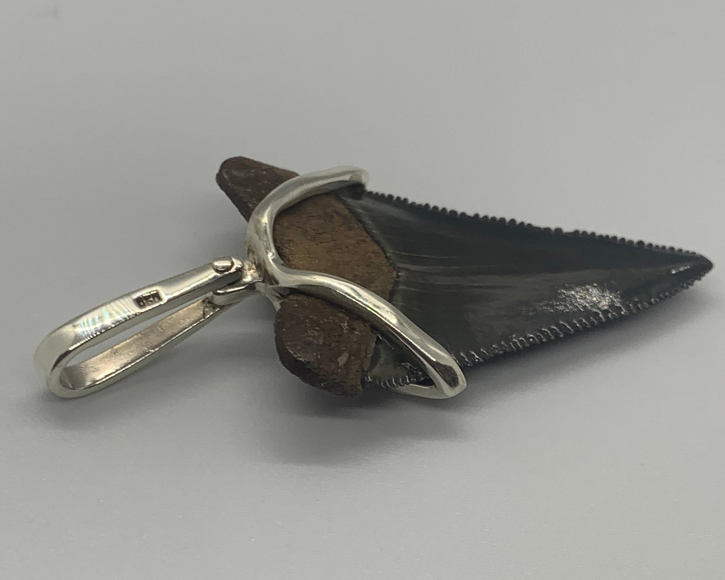 Megalodon tooth sterling silver Small