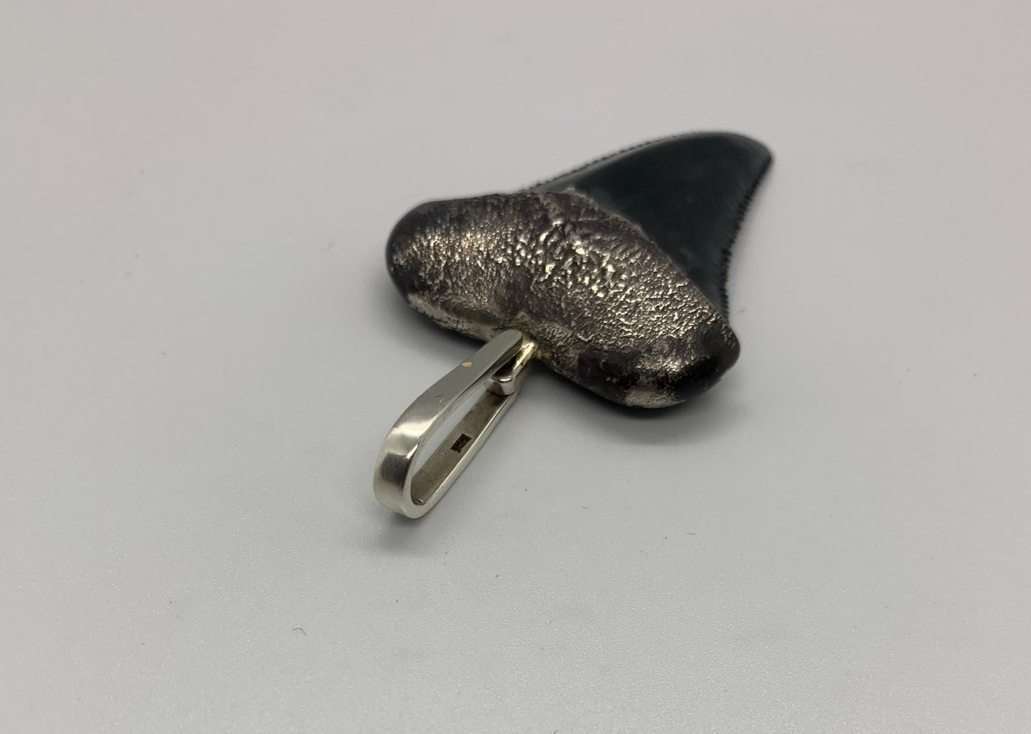 Oxidized silver medium Megalodon tooth pendent