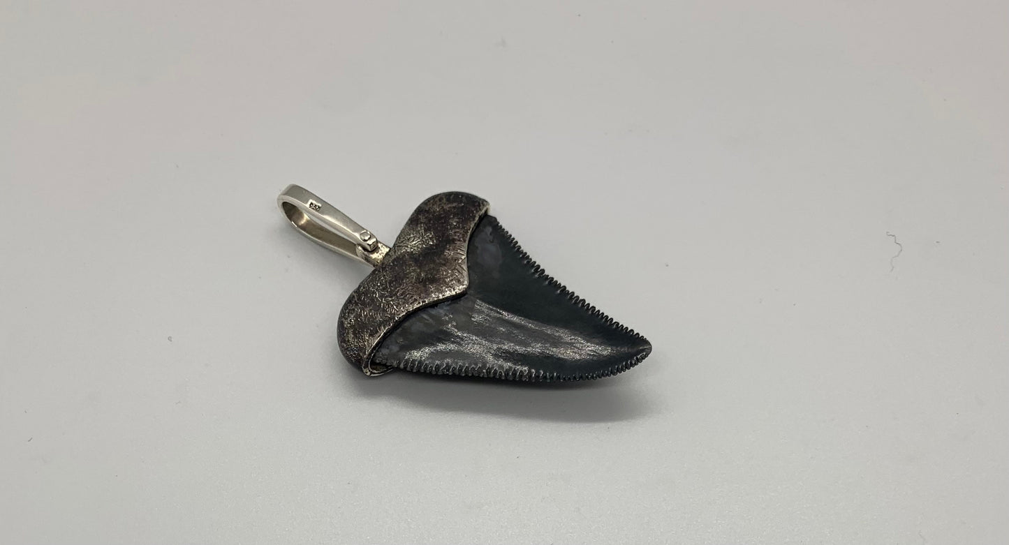 Oxidized silver medium Megalodon tooth pendent
