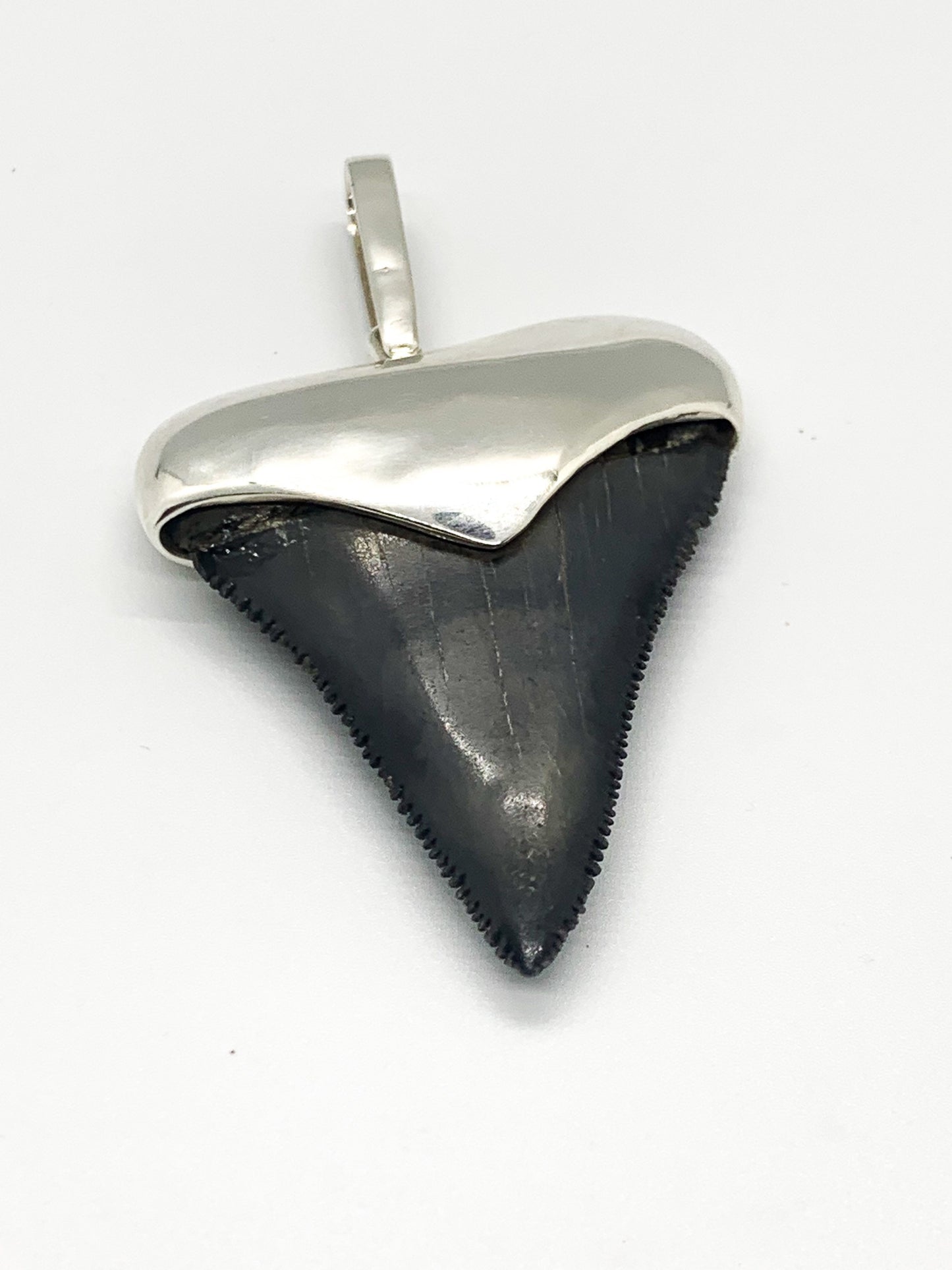 Sterling Cromo Silver Megalodon tooth pendent