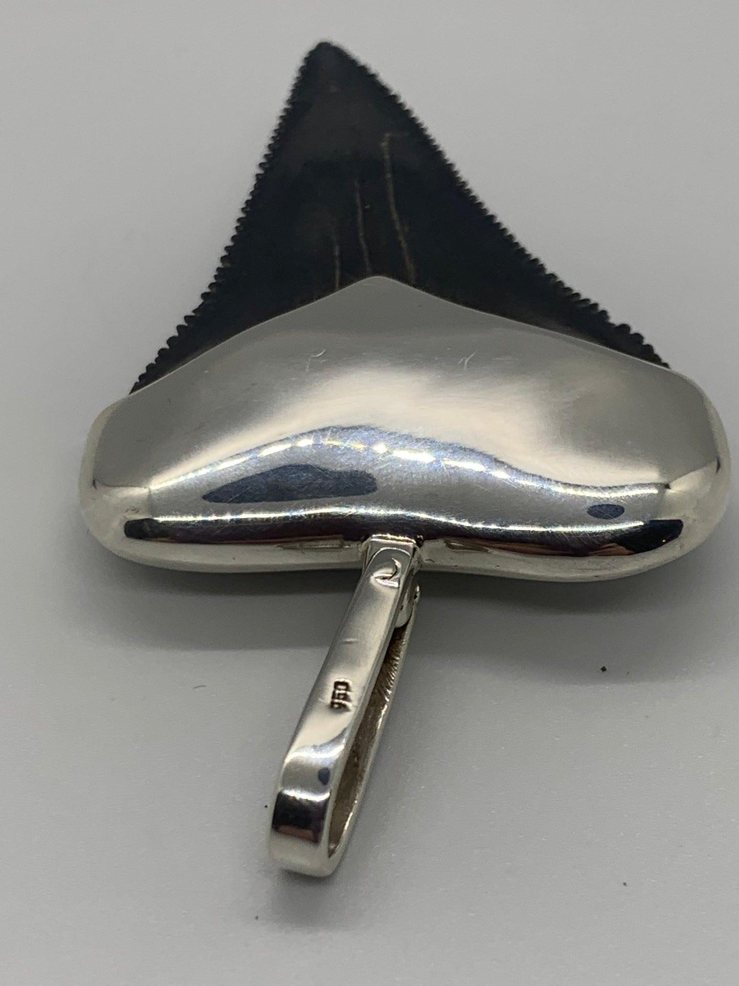 Sterling Cromo Silver Megalodon tooth pendent