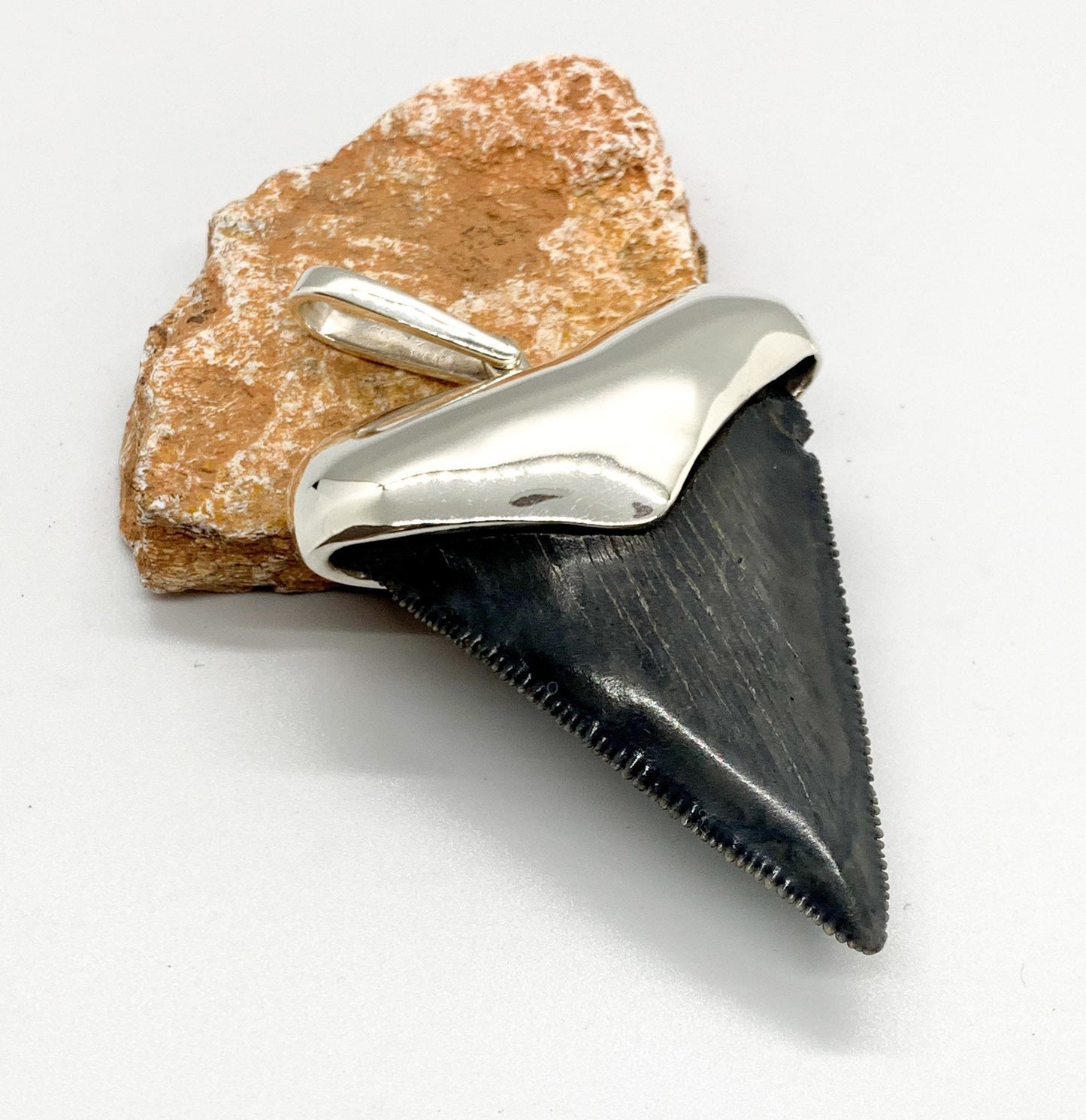 Megalodon tooth steeling silver pendent