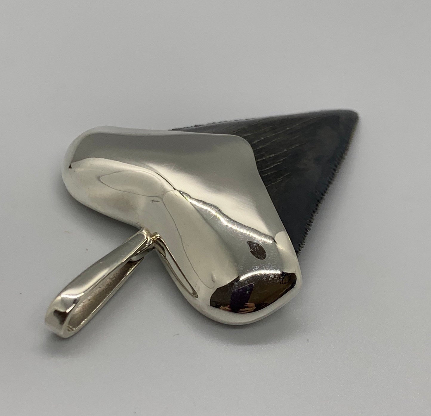 Megalodon tooth steeling silver pendent