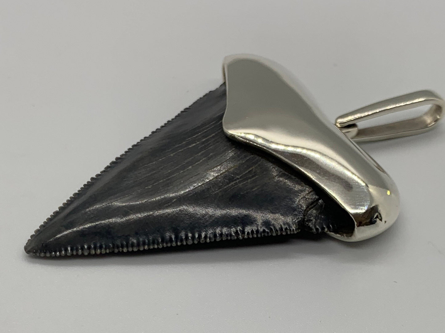 Megalodon tooth steeling silver pendent